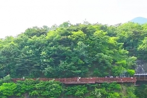 기사로 이동 - “장가계인 줄 알았네”… 20m 절벽에 800m 길 낸 단양 명소, 입장료 ‘0원’