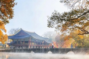 기사로 이동 - “낮엔 4천원, 밤엔 공짜”… 국보 승격된 남원 명소, 두 번 가야 하는 이유