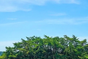 기사로 이동 - “물때 놓치면 큰일 나요”… 하루 2시간만 길 열리는 창원의 비밀 섬