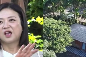 기사로 이동 - “집값 올리려고?”…김숙, 13년 묵힌 230평 제주 초가집 공개