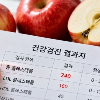 thumbnail - 매일 먹는 이 과일, 껍질에 ‘혈관 청소부’ 숨어있었다