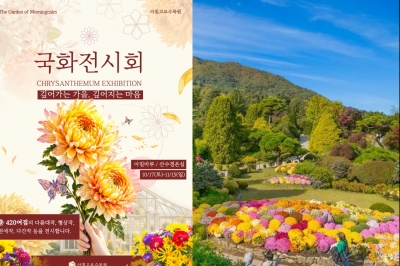 thumbnail - “국화가 이렇게 화려했나?”…가평에서 만나는 색다른 가을꽃 여행