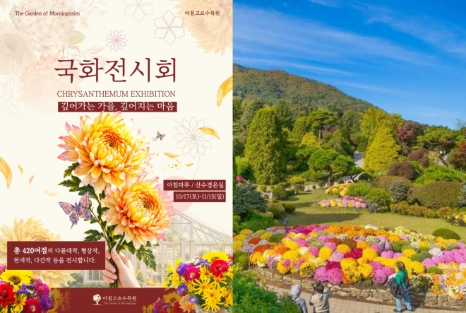 thumbnail - “국화가 이렇게 화려했나?”…가평에서 만나는 색다른 가을꽃 여행