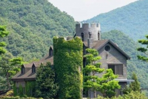 기사로 이동 - “들어가는 것부터 쉽지 않다”…사전 예약해야 볼 수 있는 대청호 비경