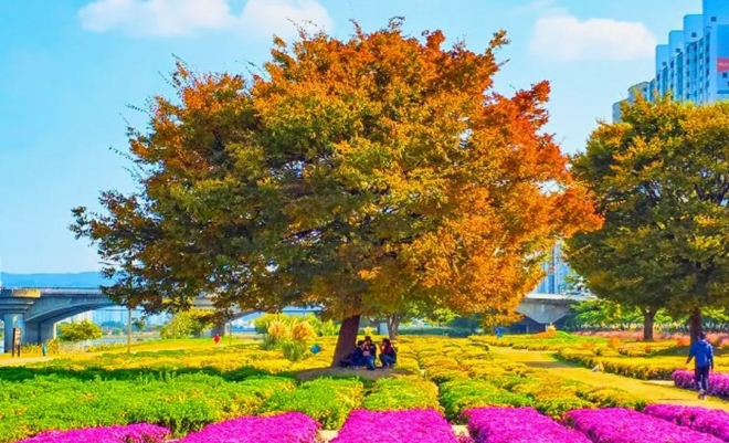 thumbnail - 산림청이 ‘전국 1등’ 도장 찍은 정원, 63억 들인 이곳의 진짜 정체는