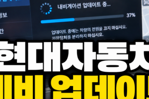 기사로 이동 - “SD카드 꽂았는데 왜 안돼?” 현대차 내비 업데이트, 시작부터 막혔다면