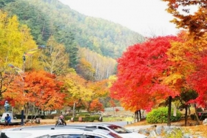 기사로 이동 - “캠핑장에 사우나가 왜 있어?” 33억 쏟아부은 강원도 명소, 직접 가보니