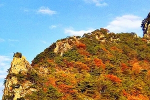 기사로 이동 - “공룡능선을 옮겨 놓은 듯”…군위 아미산에 솟은 다섯 암봉
