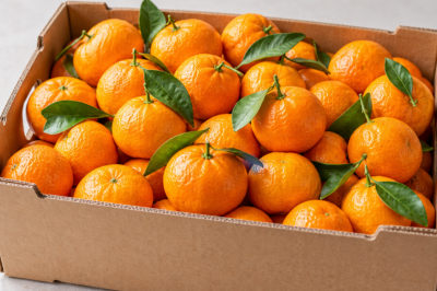 thumbnail - 한 상자 샀는데 아래부터 물러진다면…귤 꼭지 방향과 신문지 보관법
