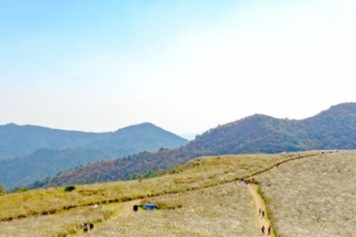 thumbnail - “주차비는 아끼고, 산길은 골라 걷고”…44만 평 억새 펼쳐진 경주 무장산