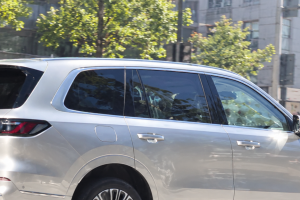 기사로 이동 - “덩치는 팰리세이드보다 큰데”…지리 M9 중국 시작가 3천만원대