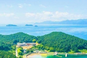 기사로 이동 - “하트 모양 섬이 코앞인데”…자란도 1.1km 바닷길, 정기선은 없어