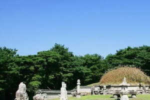 기사로 이동 - “잔디 대신 함흥 억새”…조선왕릉 유일한 건원릉 능침 6일 개방