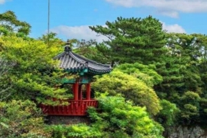 기사로 이동 - “공항에서 10분, 산물이 바다에 닿는다”…무료로 걷는 제주시 용연