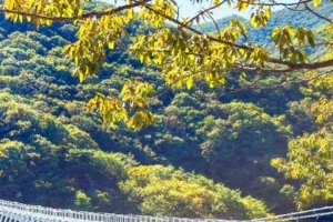 기사로 이동 - “발아래 80m가 그대로 내려다보인다”…계곡 위 220m 구름다리 걷는 진안 여행