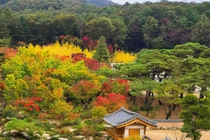 기사로 이동 - “정원 산책치곤 묵직하네”…주말 통합권 9만원인 양평 메덩골정원